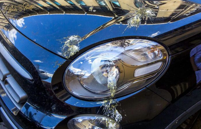 Usuwanie owdów z lakieru | Wash Point Blizne