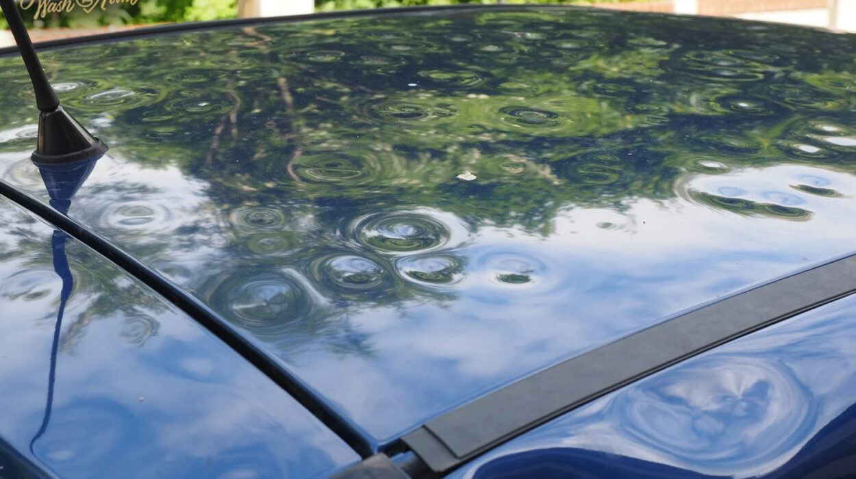 Usuwanie wgnieceń PDR po gradobiciu i szkodach parkingowych | Wash Point